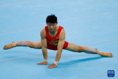 青操国产